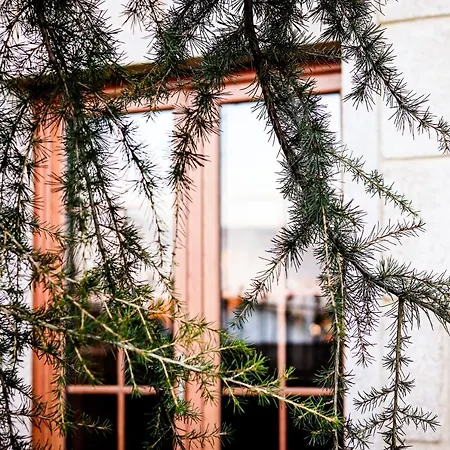 Rb Cruzeiro * Монсан