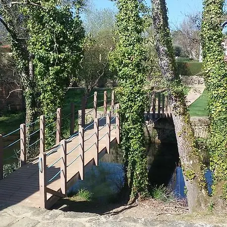 Rb Cruzeiro * Монсан